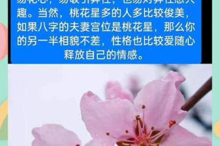 男人桃花命八字特征