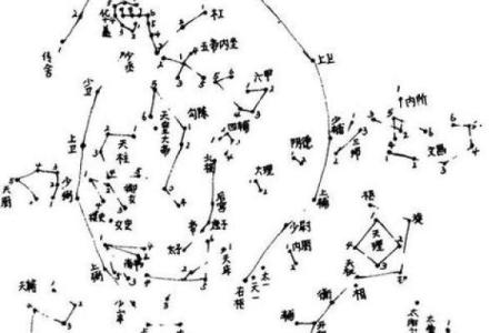 梦到紫薇星是什么意思