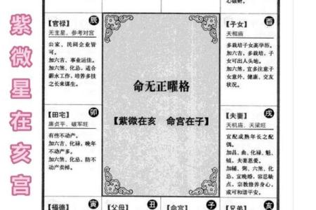 紫薇斗数桃花运