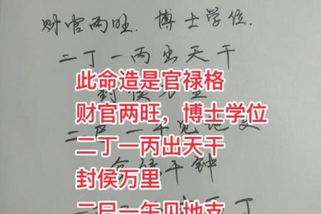 八字-岁禄格