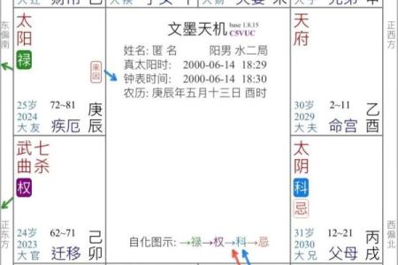 紫薇斗数星代表什么