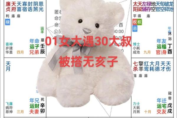 文曲紫薇斗数