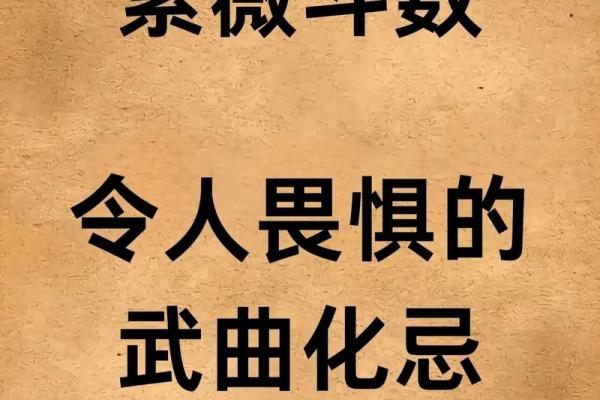 紫薇斗数看牢狱灾