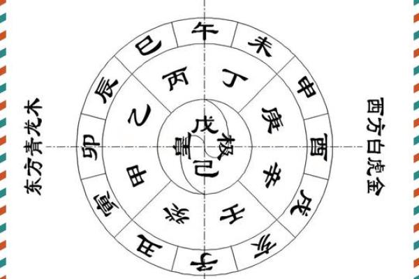 商业：办公养花风水与五行八卦