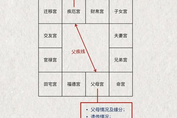 紫薇斗数初级