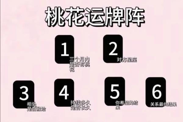 塔罗测试：最近你在吸引什么桃花运？