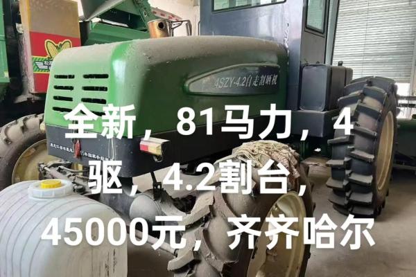什么样的八字能成为鲜肉收割机