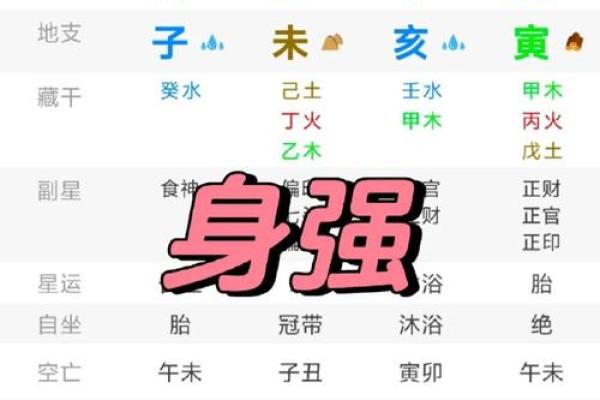 八字人体