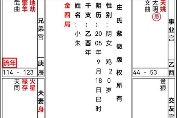 紫薇斗数看人生txt的简单介绍
