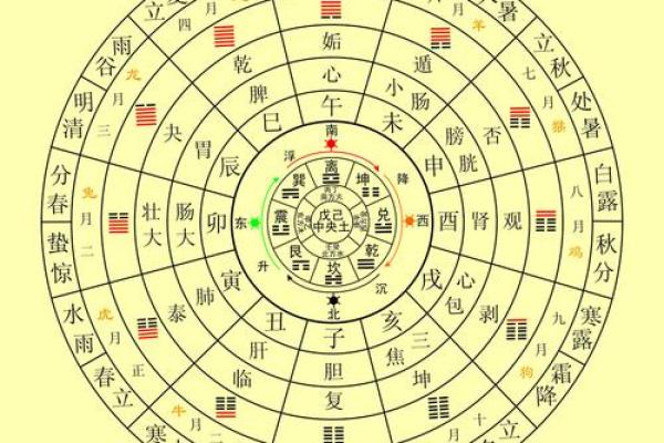 如何根据体弱多病八字强特点调整生活方式