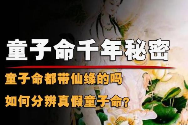童子命算命