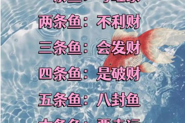 鱼缸里随便养几条鱼就算是风水鱼吗？