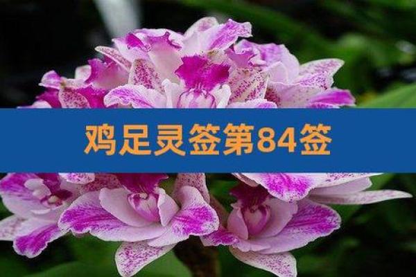 鸡足灵签第六十五签