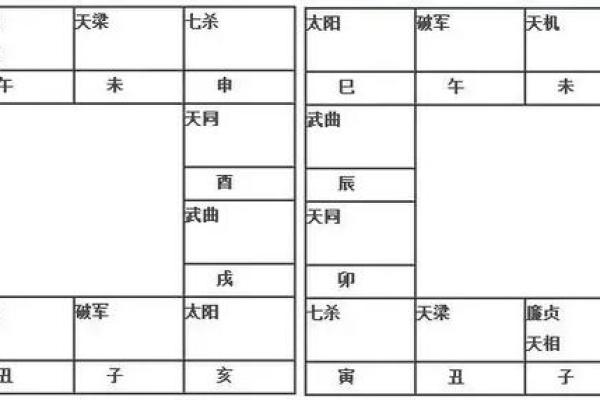 康熙紫薇斗数格局