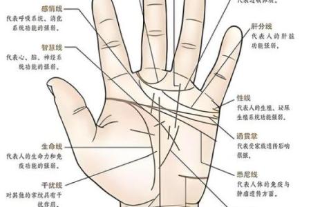 掌纹算命可靠