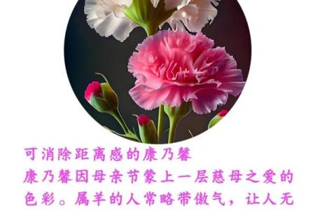这些旺桃花风水布局安排起来 桃花运暴涨 父母再也不催婚
