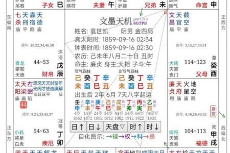 南辰紫薇斗数