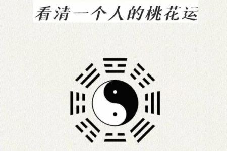 八字桃花之谜，独家揭秘八字中的桃花秘籍
