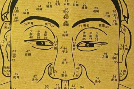 耳朵算命耳朵看运势大全,耳朵命运图解
