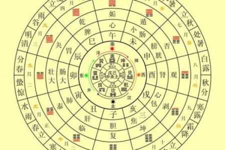 如何根据体弱多病八字强特点调整生活方式