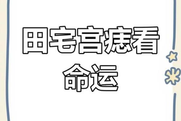 田宅宫有紫薇星七杀星
