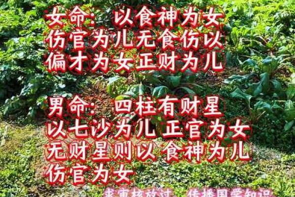 超灵验的命理断语，八字看子女多寡看怀孕时间