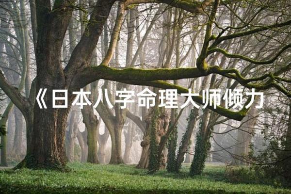 日本对八字