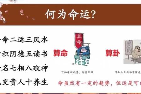 扒一扒：你该选择八字算命还是八卦预测？二者有何区别？