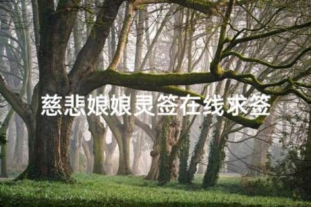 慈悲娘娘灵签50