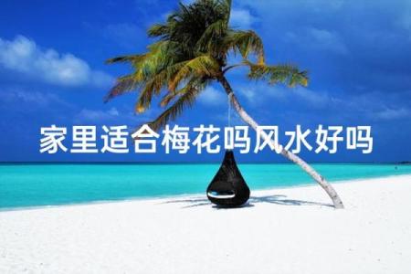 风水上家里可不可以养梅花