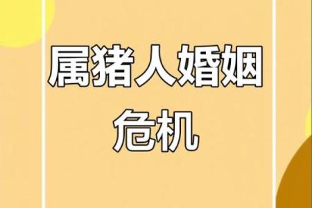 合八字算婚姻 属猪男和兔女适合做夫妻吗