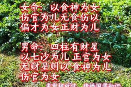 超灵验的命理断语，八字看子女多寡看怀孕时间