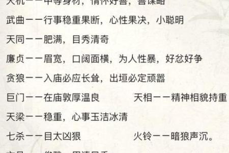 紫薇斗数干的气化
