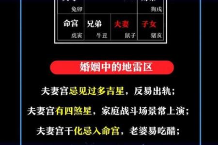 夫妻宫没有紫薇斗数