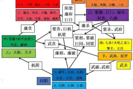 东派紫微斗数 东派紫微斗数王星东简介？